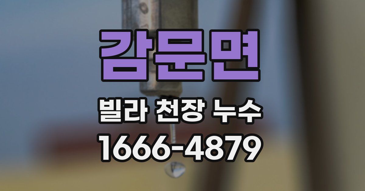 감문면 빌라 천장 누수