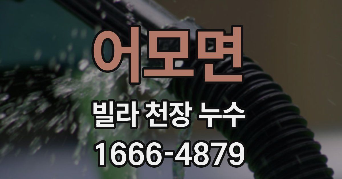어모면 빌라 천장 누수