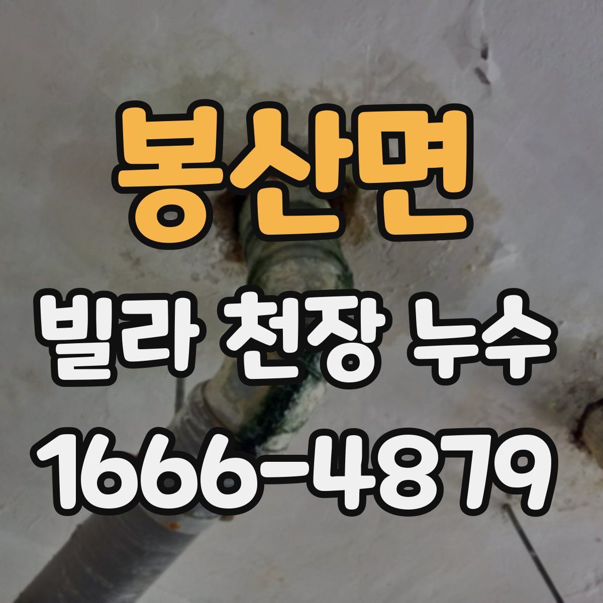 봉산면 빌라 천장 누수