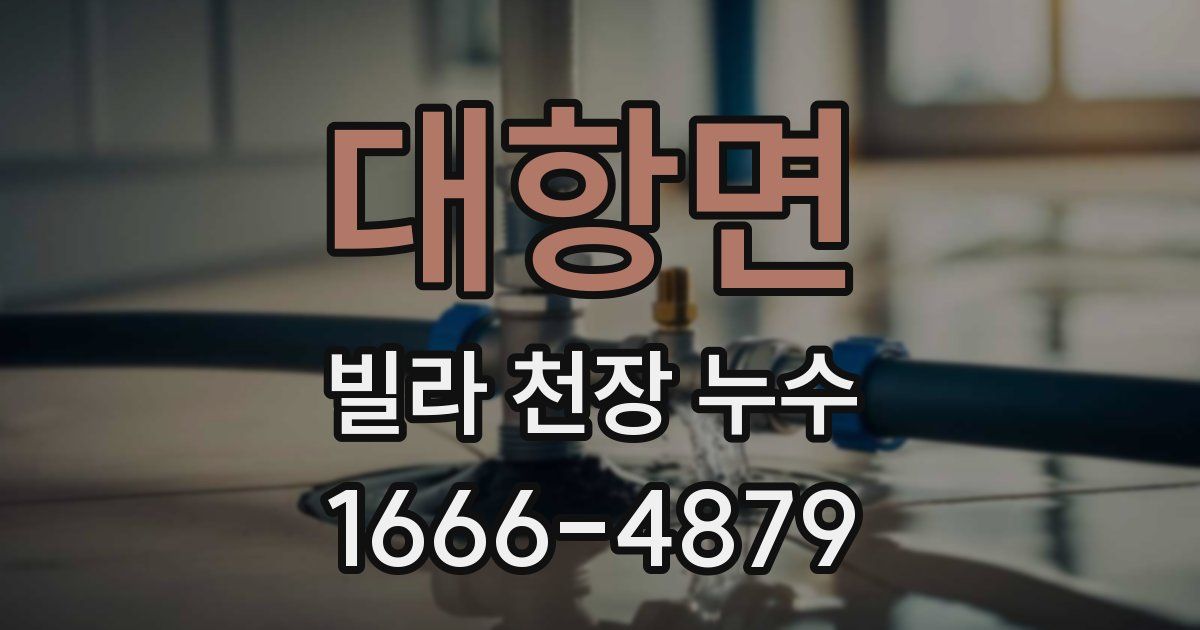 대항면 빌라 천장 누수