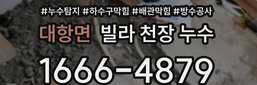 대항면 빌라 천장 누수