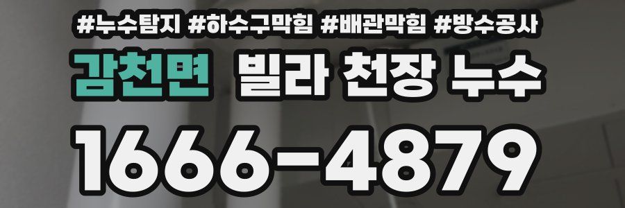 감천면 빌라 천장 누수