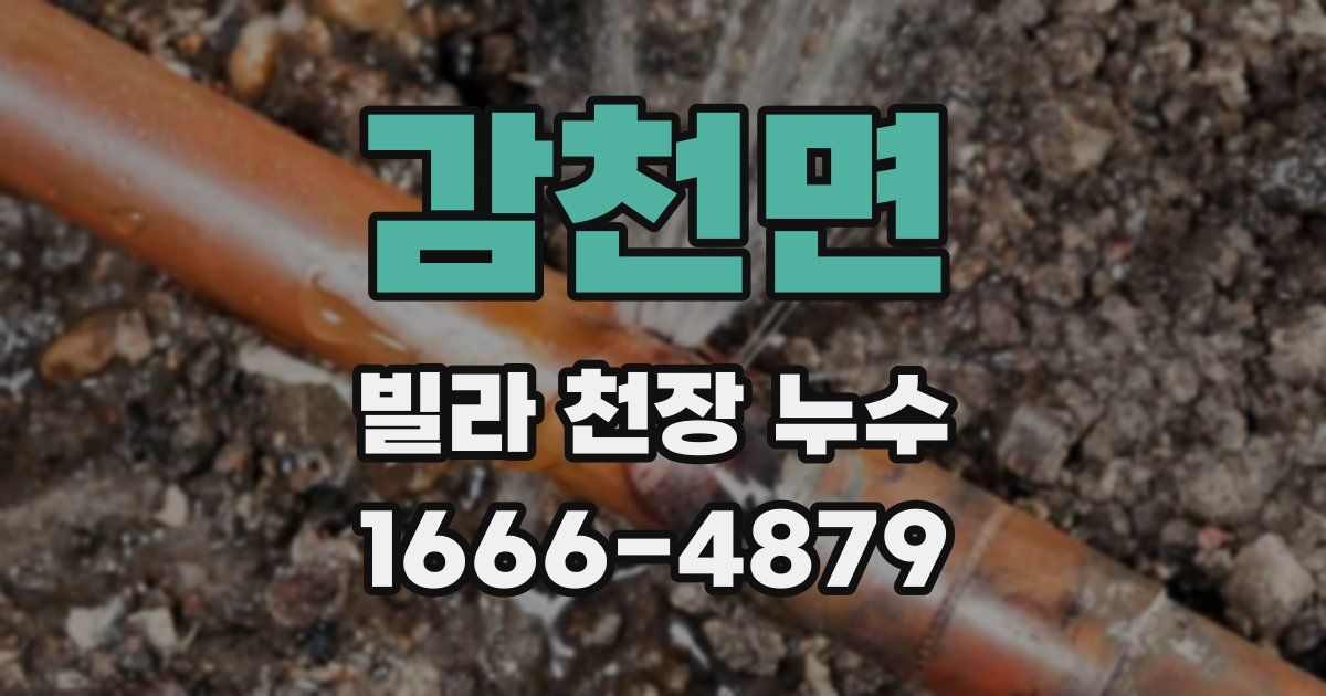 감천면 빌라 천장 누수
