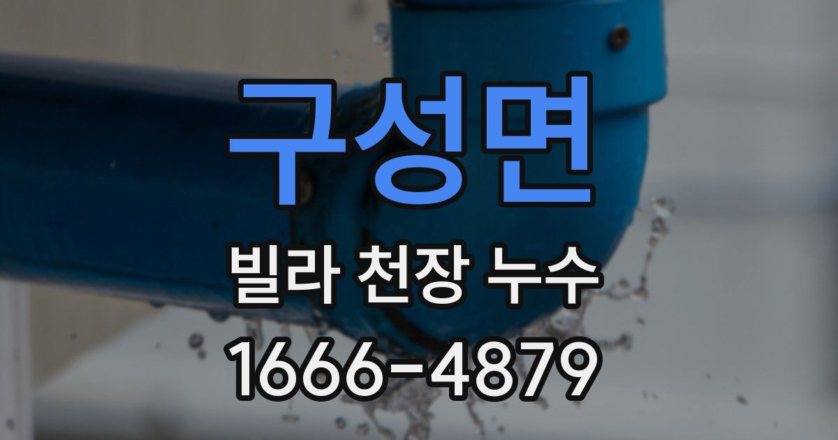 구성면 빌라 천장 누수