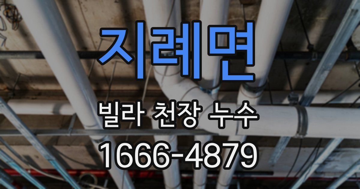 지례면 빌라 천장 누수