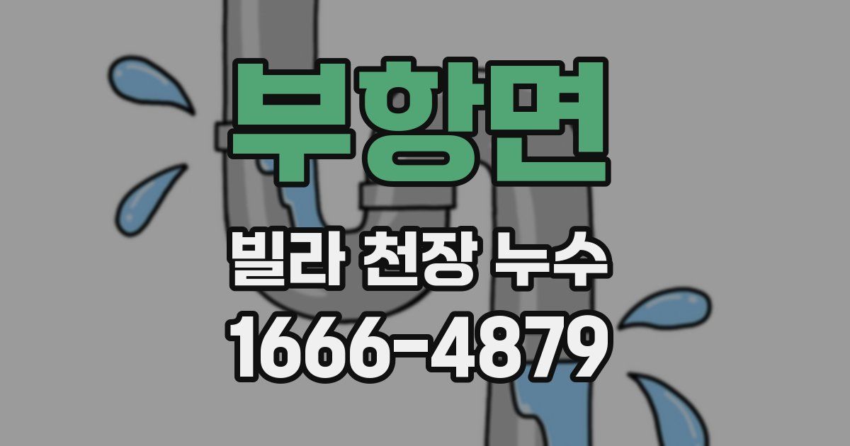 부항면 빌라 천장 누수