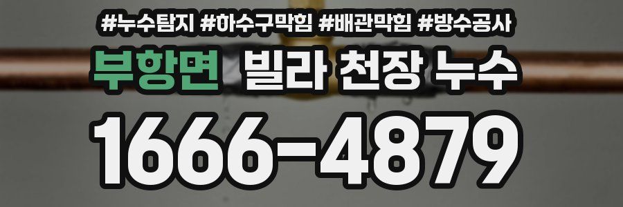 부항면 빌라 천장 누수