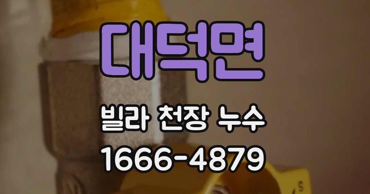 대덕면 빌라 천장 누수