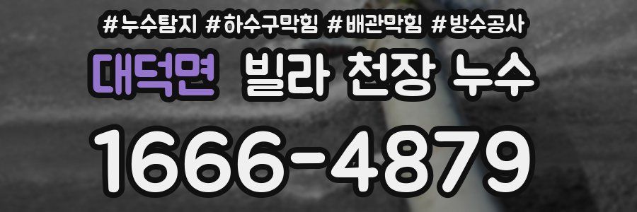대덕면 빌라 천장 누수