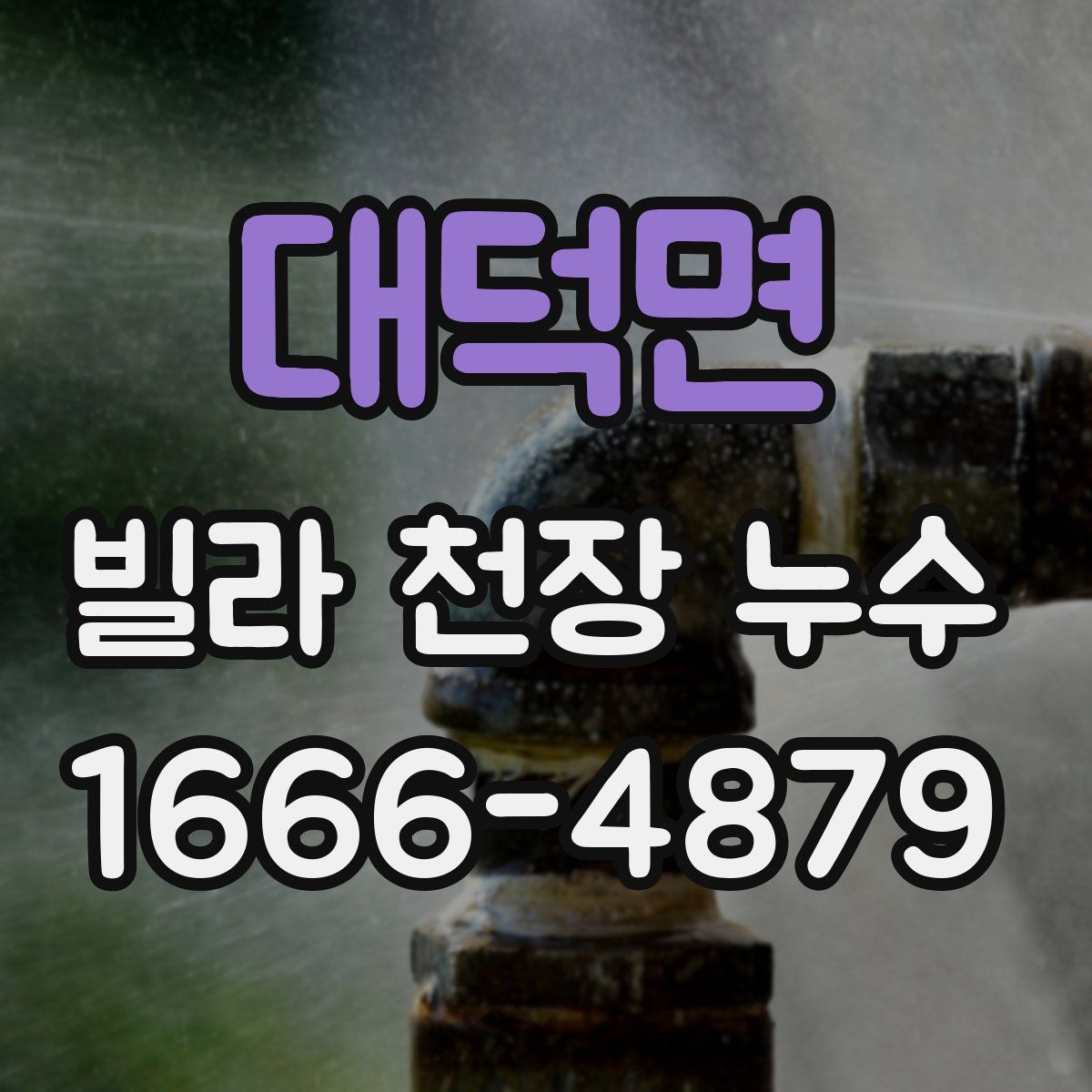 대덕면 빌라 천장 누수