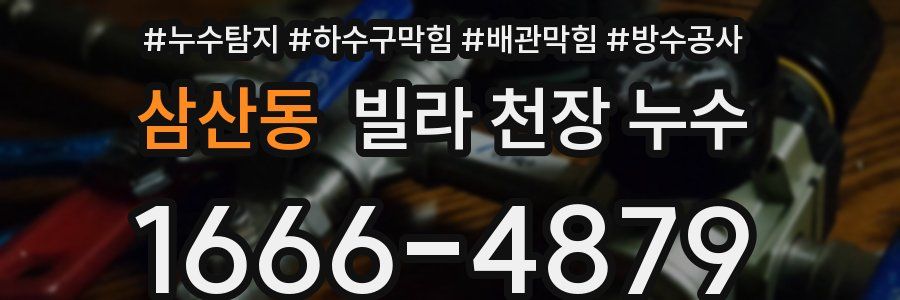 삼산동 빌라 천장 누수