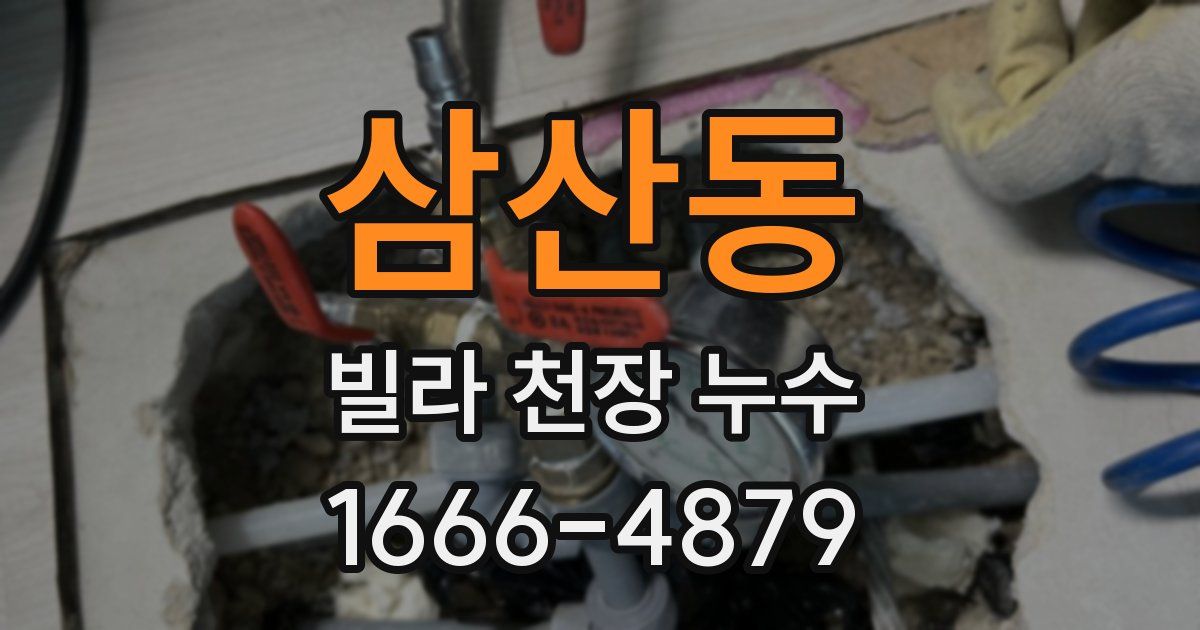 삼산동 빌라 천장 누수