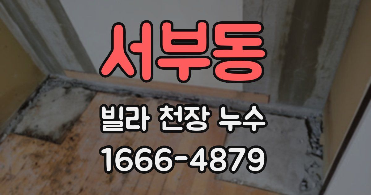 서부동 빌라 천장 누수