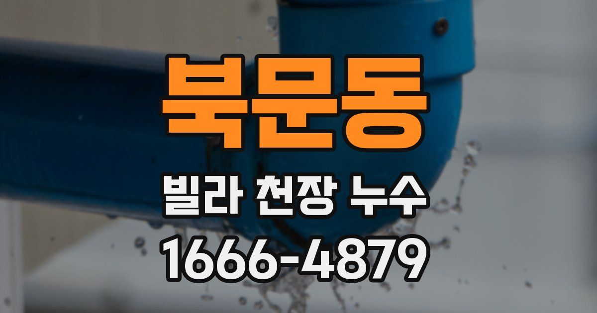 북문동 빌라 천장 누수