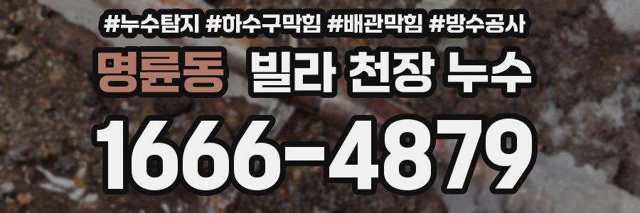 명륜동 빌라 천장 누수