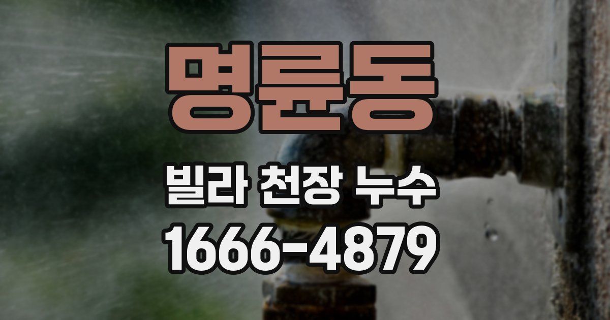 명륜동 빌라 천장 누수