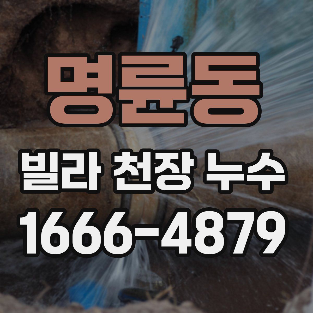 명륜동 빌라 천장 누수