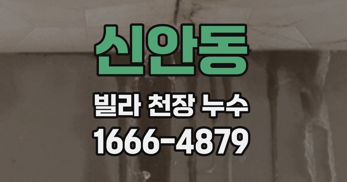 신안동 빌라 천장 누수