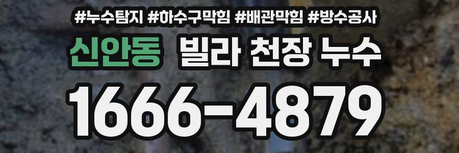 신안동 빌라 천장 누수