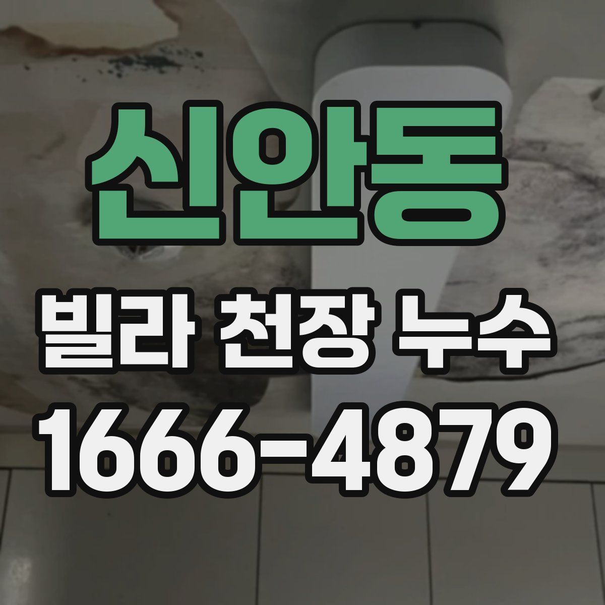 신안동 빌라 천장 누수