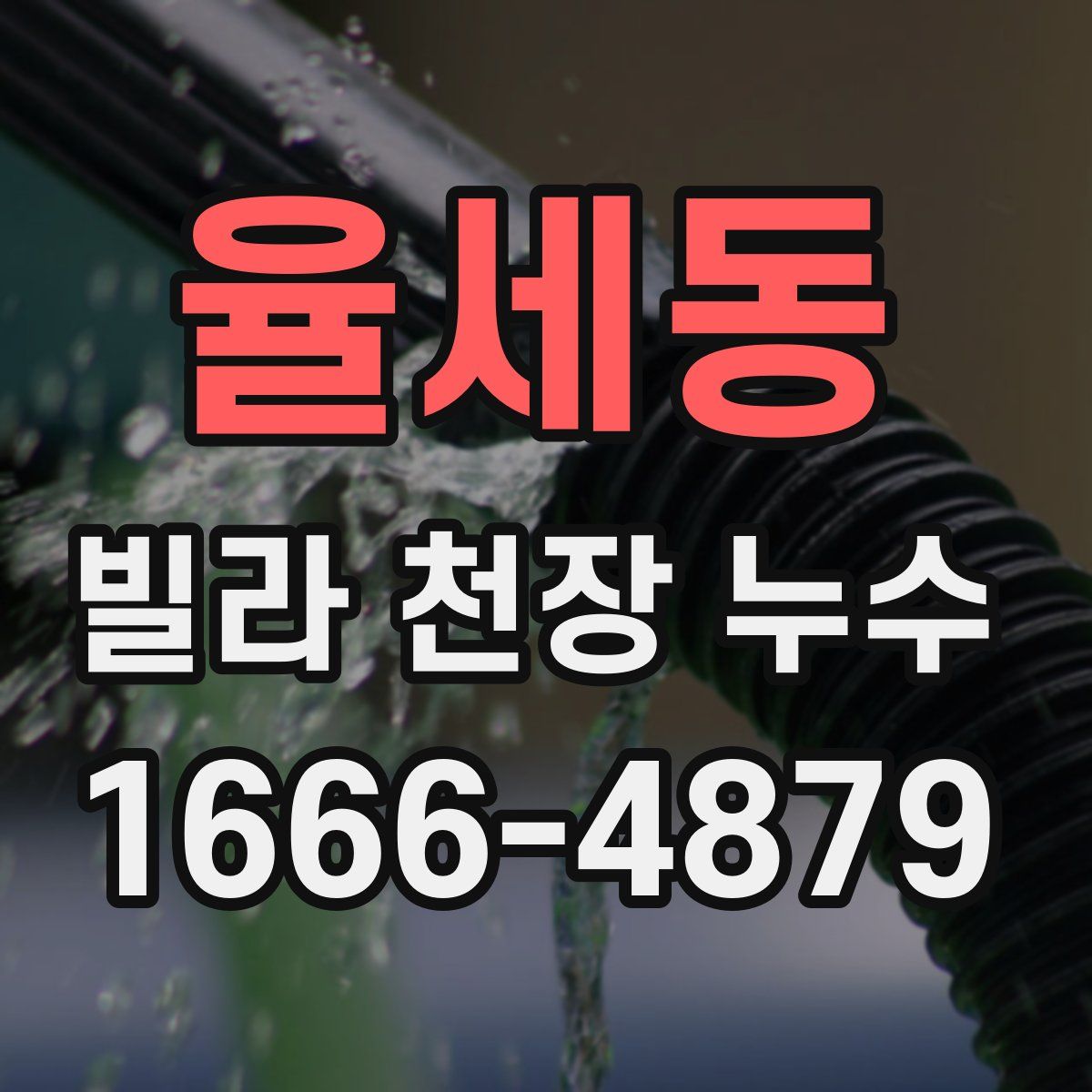 율세동 빌라 천장 누수