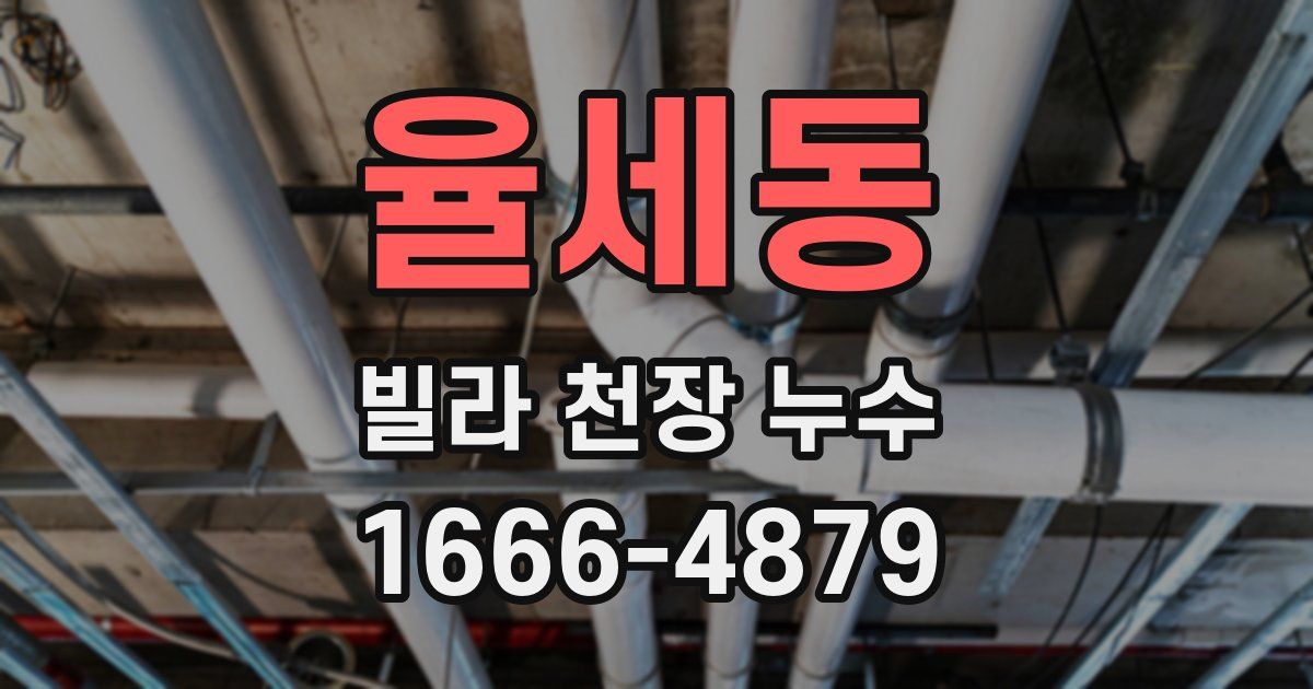 율세동 빌라 천장 누수