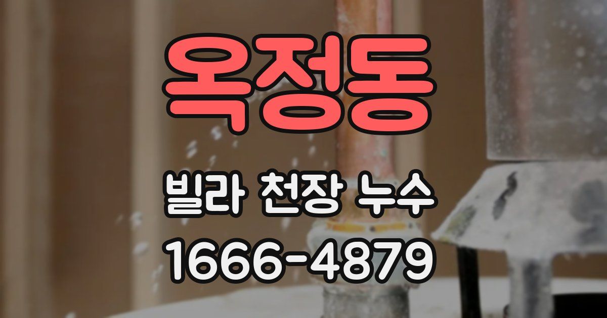 옥정동 빌라 천장 누수
