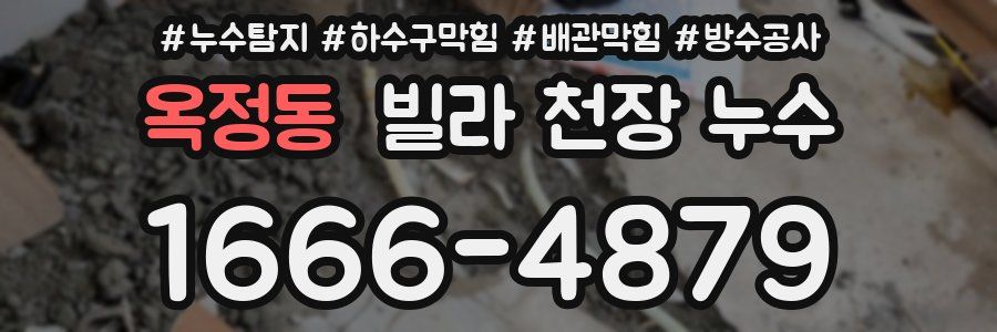 옥정동 빌라 천장 누수