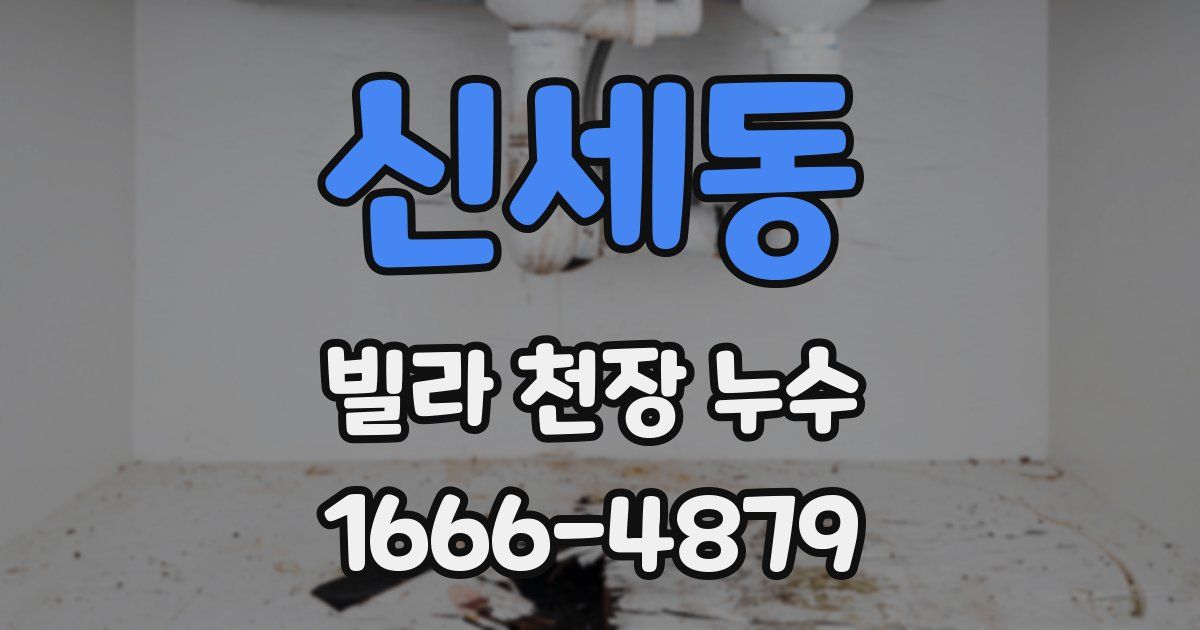 신세동 빌라 천장 누수