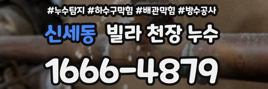 신세동 빌라 천장 누수