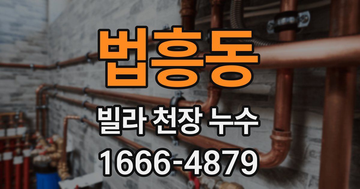 법흥동 빌라 천장 누수