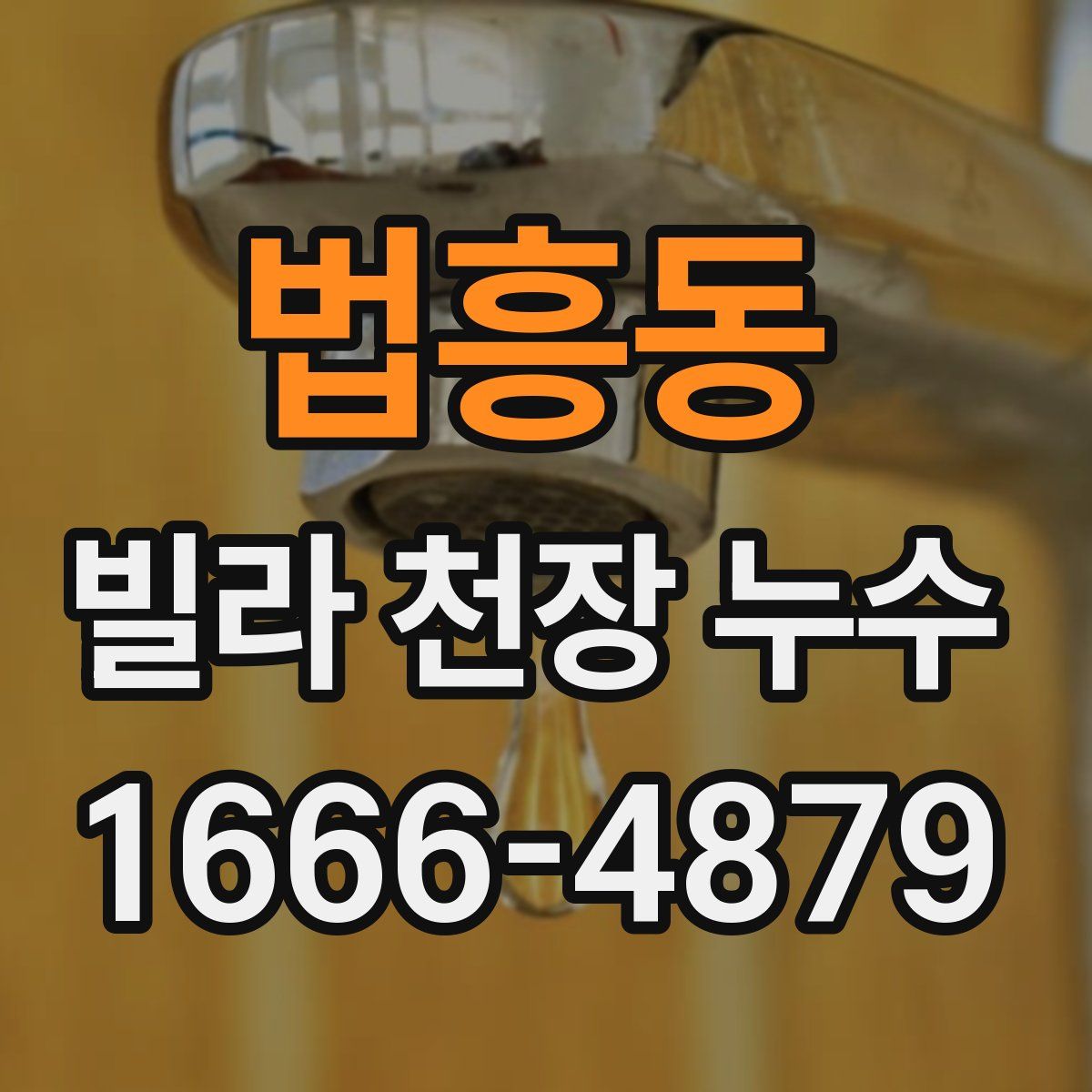 법흥동 빌라 천장 누수