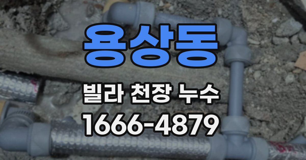 용상동 빌라 천장 누수