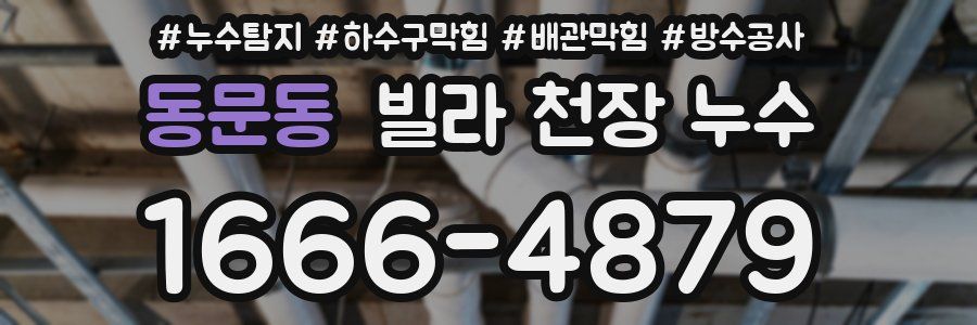 동문동 빌라 천장 누수