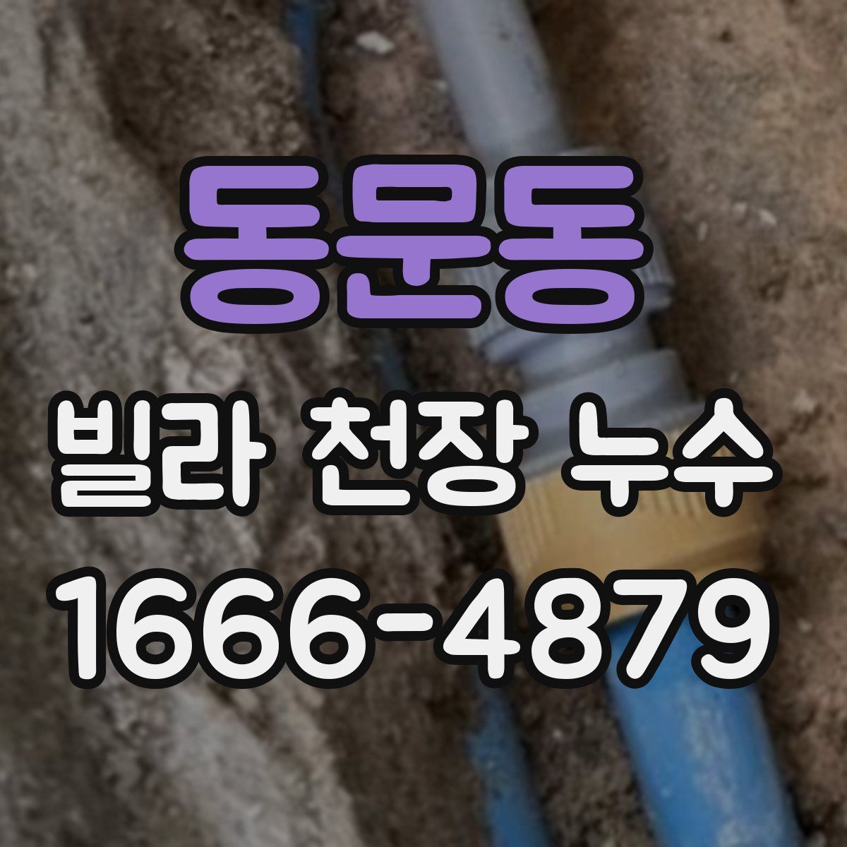 동문동 빌라 천장 누수