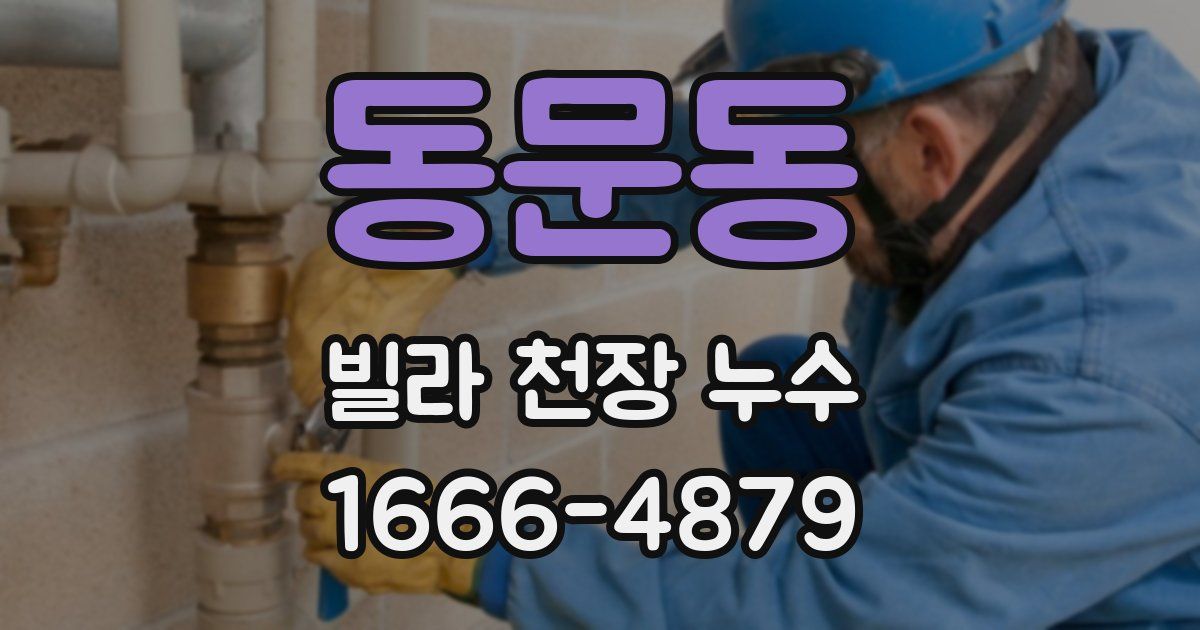 동문동 빌라 천장 누수