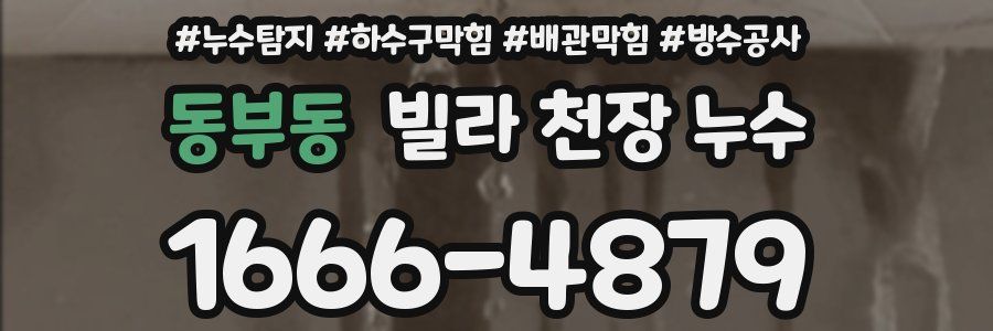 동부동 빌라 천장 누수