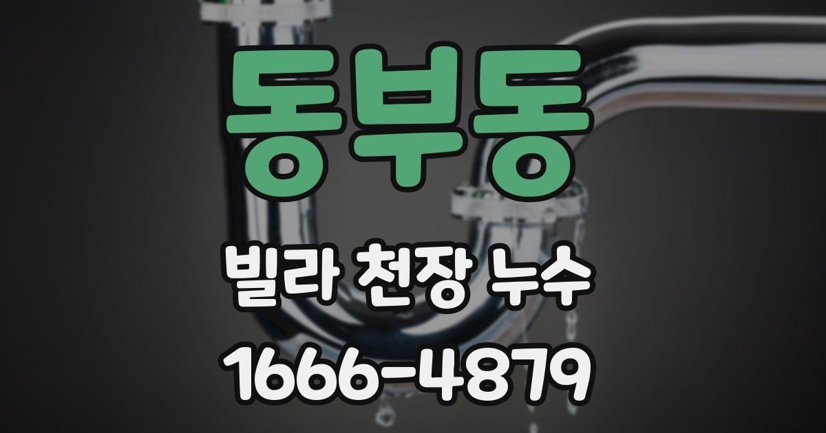 동부동 빌라 천장 누수