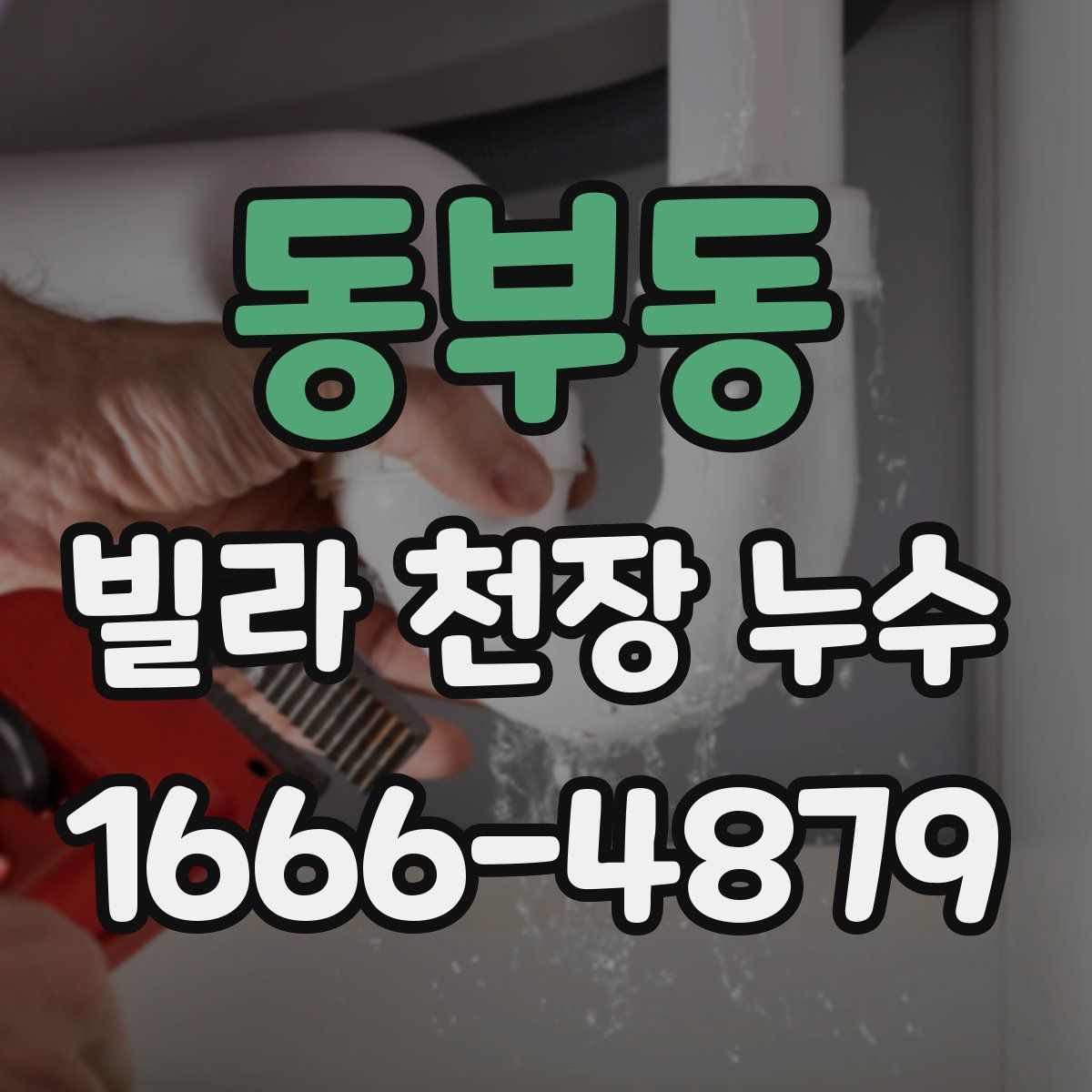 동부동 빌라 천장 누수