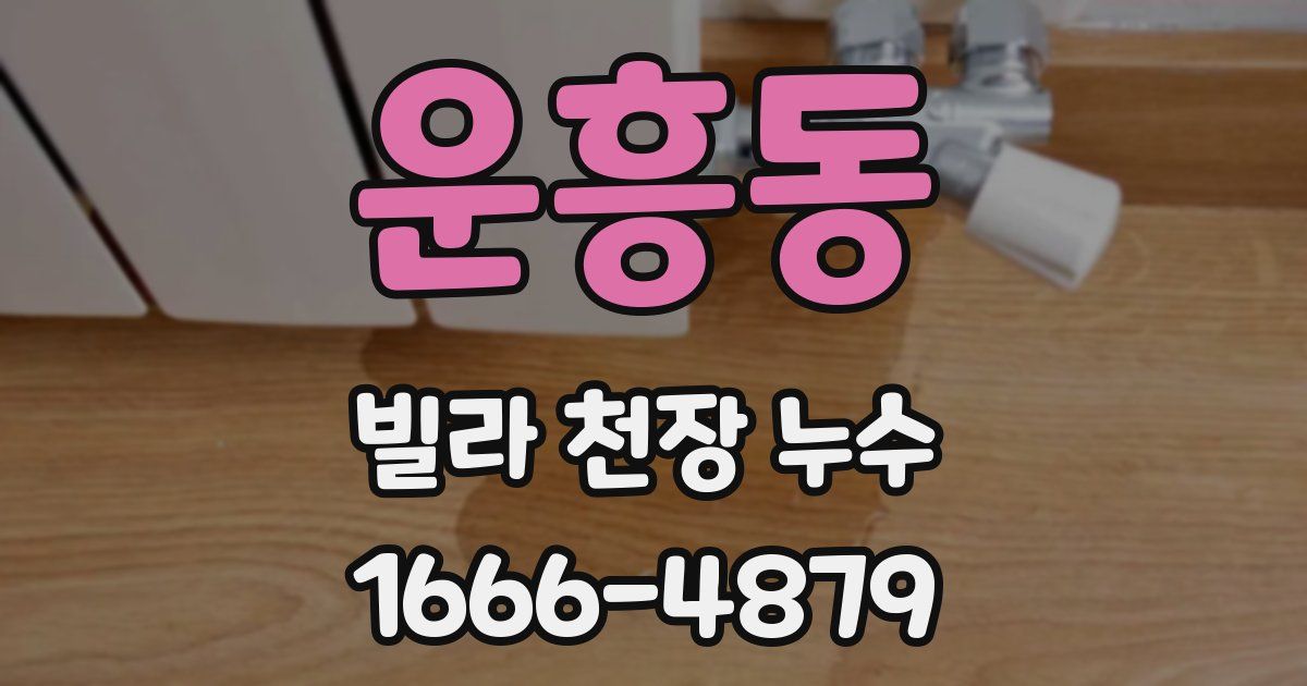 운흥동 빌라 천장 누수
