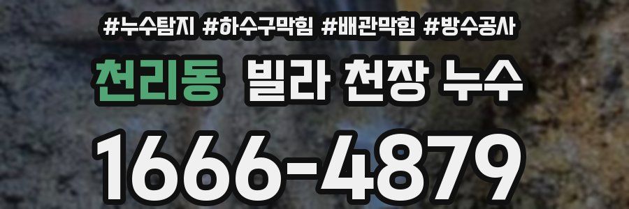 천리동 빌라 천장 누수