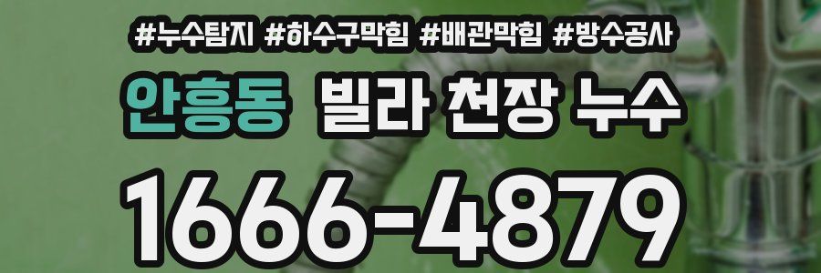 안흥동 빌라 천장 누수