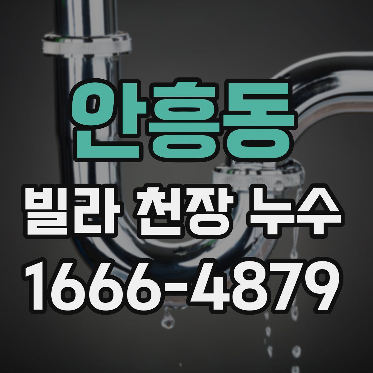 안흥동 빌라 천장 누수