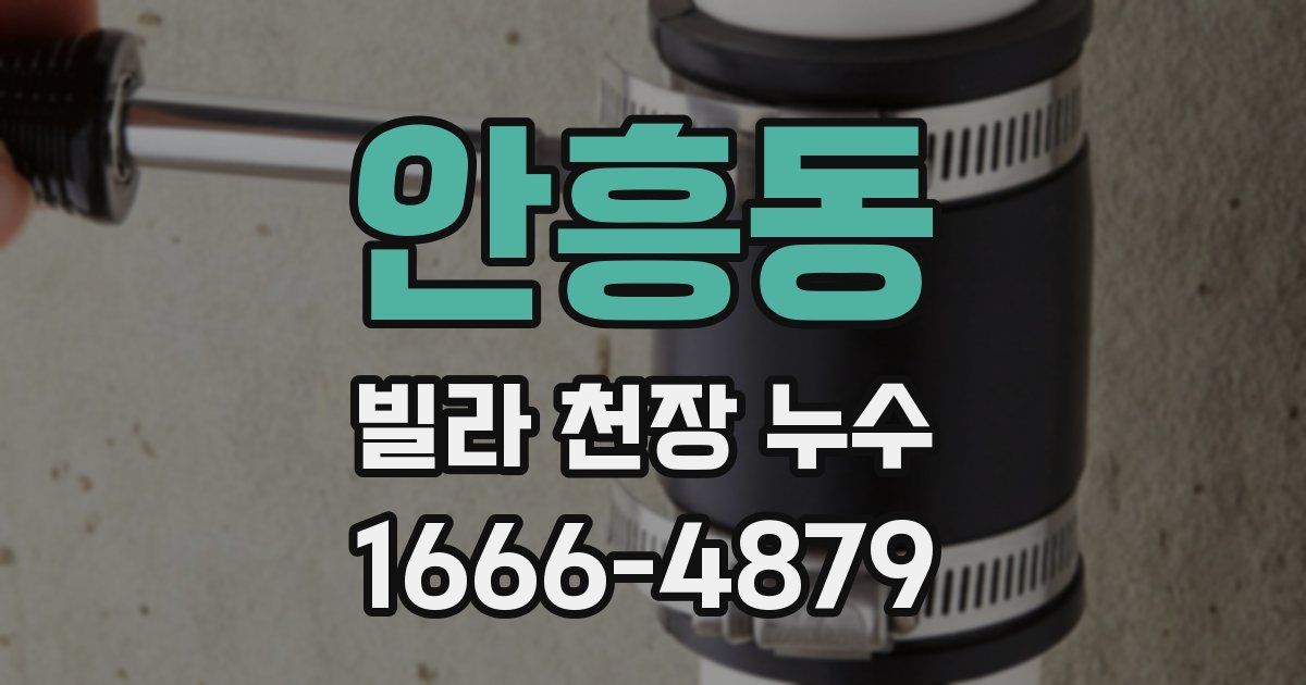 안흥동 빌라 천장 누수