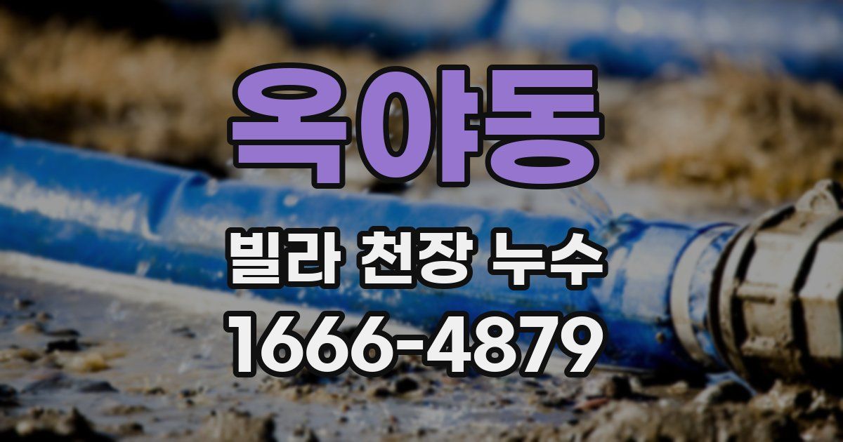 옥야동 빌라 천장 누수