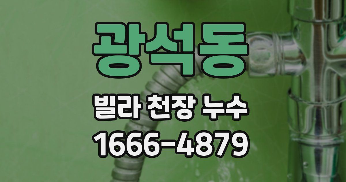 광석동 빌라 천장 누수