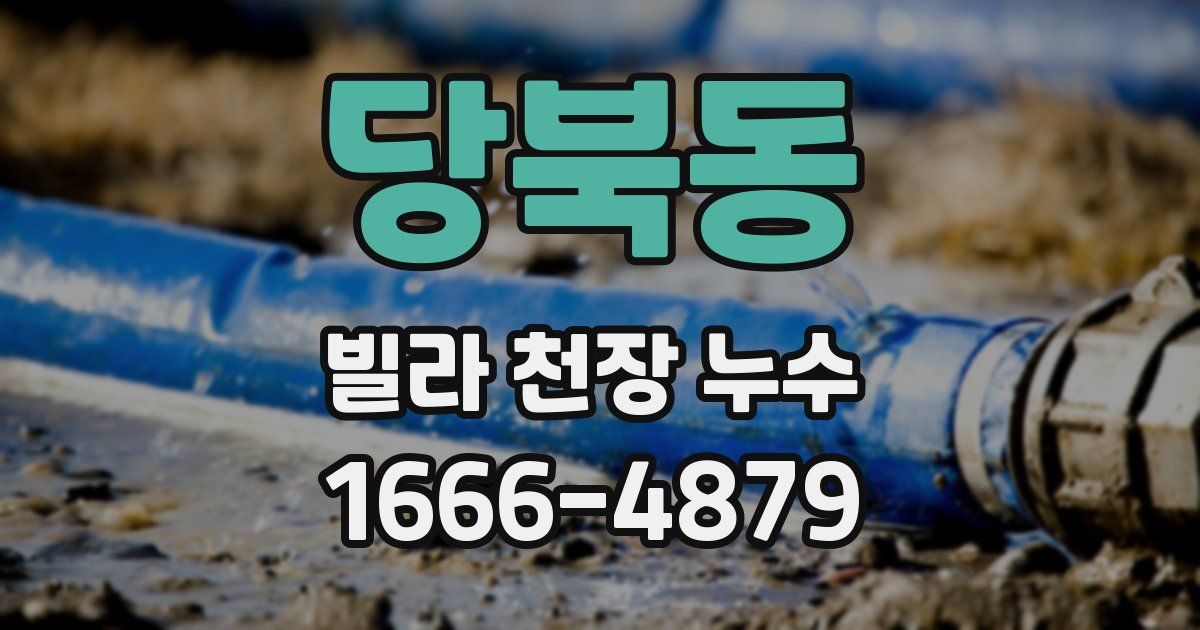 당북동 빌라 천장 누수