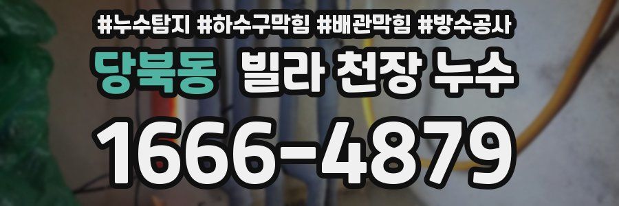 당북동 빌라 천장 누수
