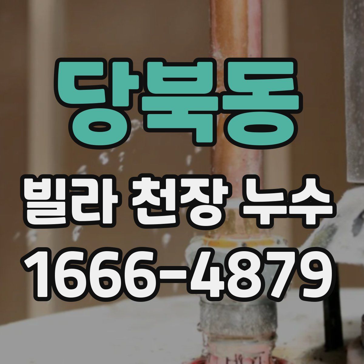 당북동 빌라 천장 누수