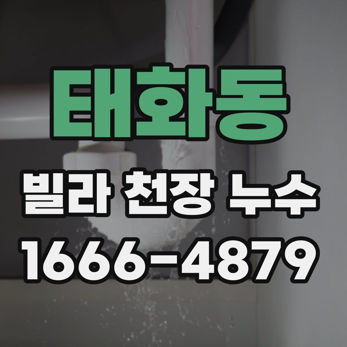 태화동 빌라 천장 누수